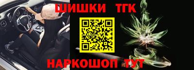 спайс Гагарин