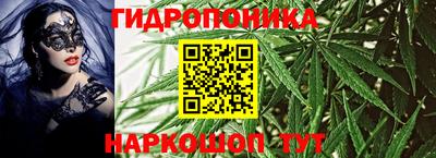 ГАЛЛЮЦИНОГЕННЫЕ ГРИБЫ Гай