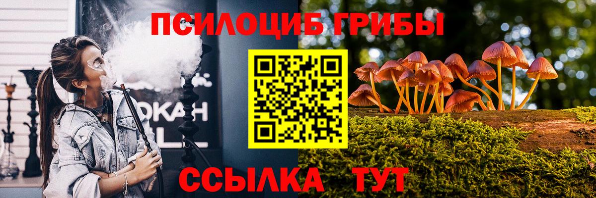 Галлюциногенные грибы Psilocybine cubensis Бузулук