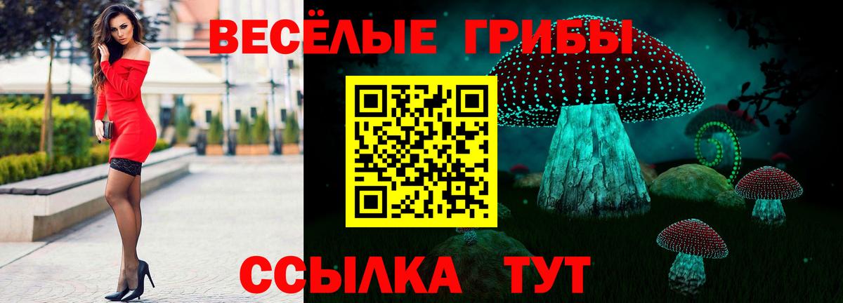 Галлюциногенные грибы Cubensis  Вход с VPN  Галлюциногенные грибы GOLDEN TEACHER  Бузулук 