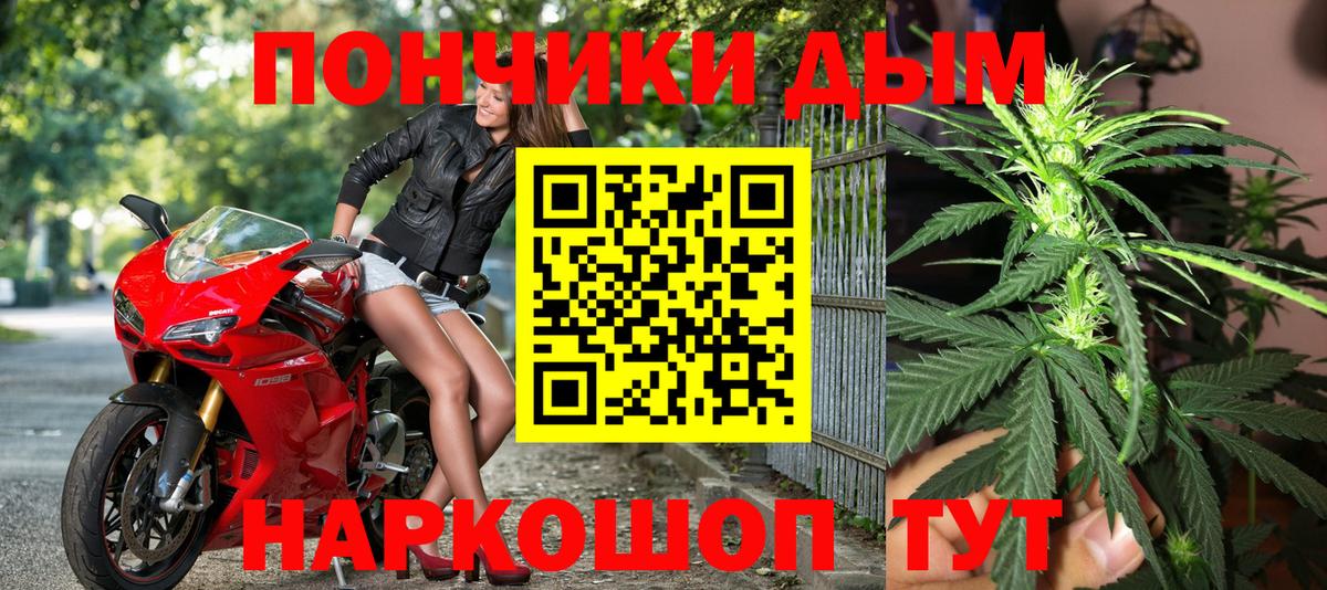 Шишки марихуана индика  Вход с VPN  Шишки марихуана план  Конопля гибрид  Каннабис сатива  Бузулук 